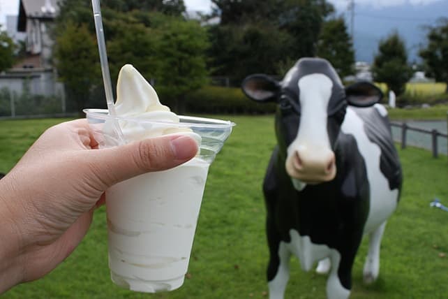 ソフトクリームと牛