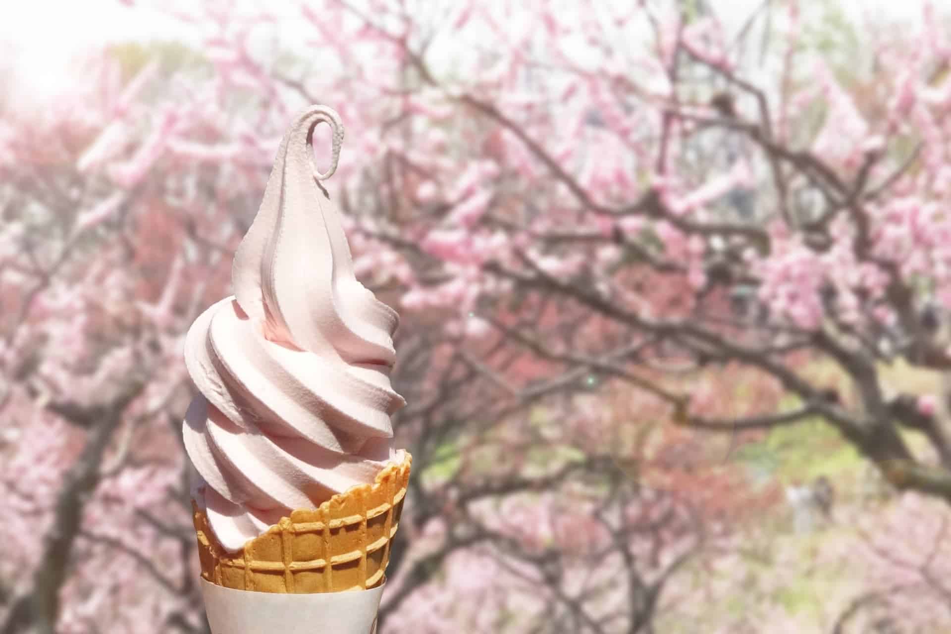 ソフトクリームと桜